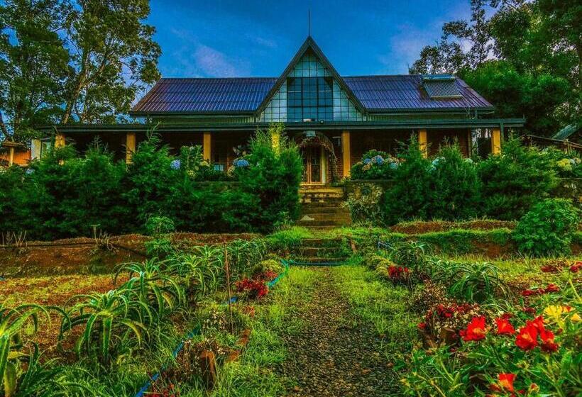 Bed and Breakfast Shadow Mask Bungalow