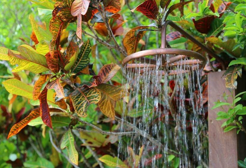 Bed and Breakfast Villa Manaaki