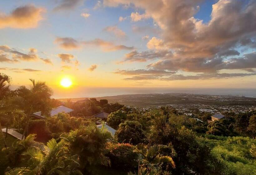 Bed and Breakfast Villa Manaaki