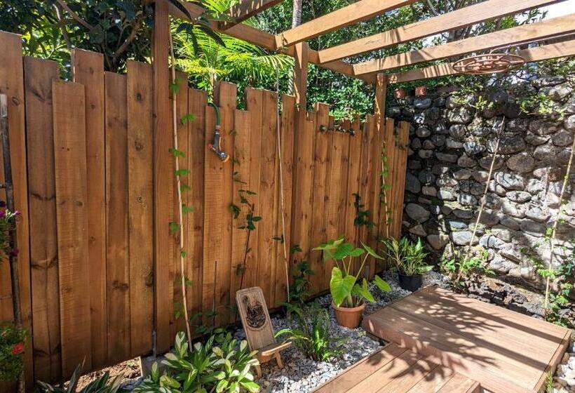 Bed and Breakfast Villa Manaaki