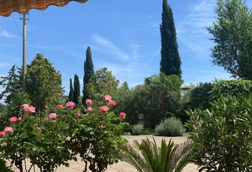 פנסיון Affittacamere La Crognoleta