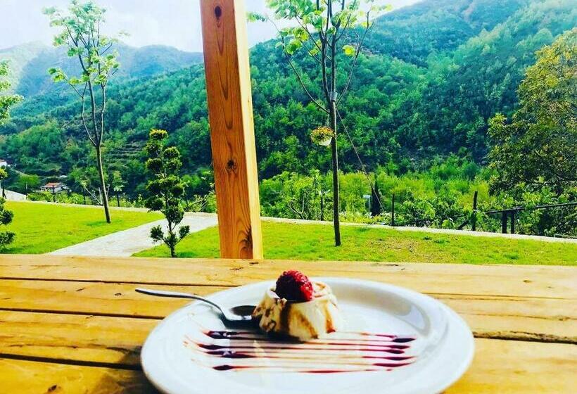 פנסיון Bujtina Dini