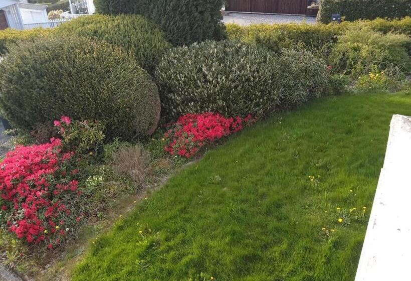 פנסיון The White House