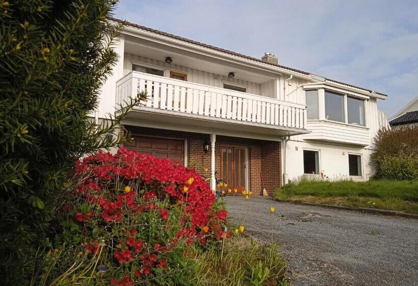 פנסיון The White House