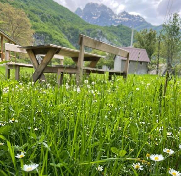 펜션 Villa Belinis