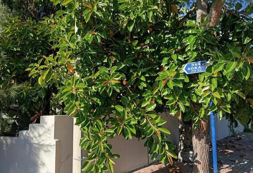 Nosi Otel Dalyan Otelleri̇