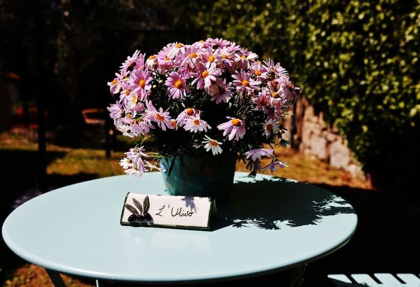 צימר Bed And Berli