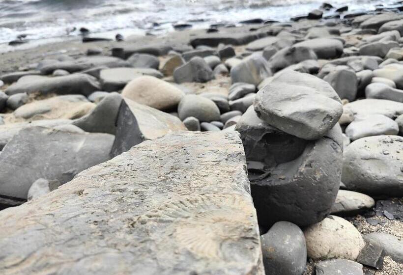 مبيت وإفطار Cosy Bee And Apartment