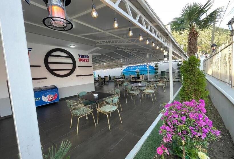 בית מלון כפרי Triho