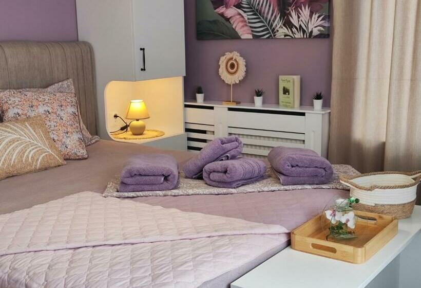 膳宿费 Amore Obzor