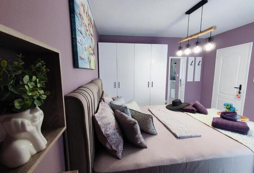 膳宿费 Amore Obzor