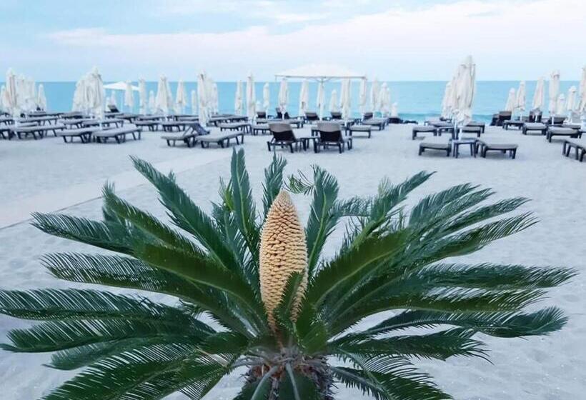 膳宿费 Amore Obzor