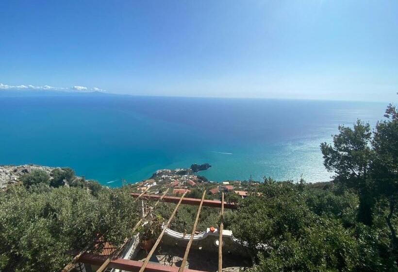 פנסיון Bed&breakfast Miramare