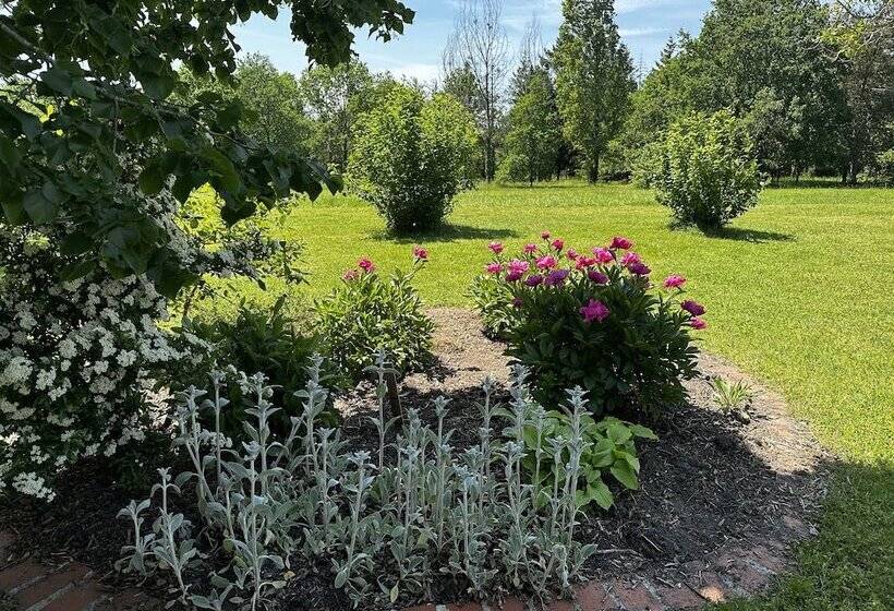 פנסיון Domaine De Couilleuse