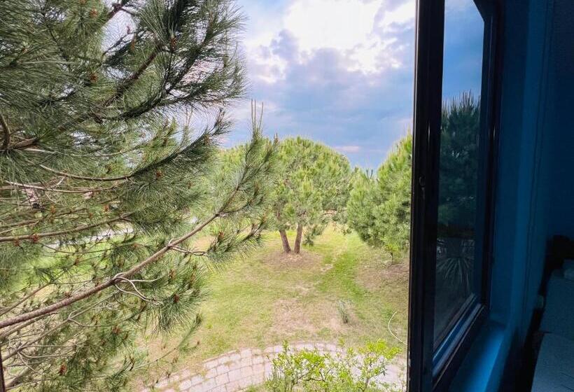 פנסיון Favela Chic Room