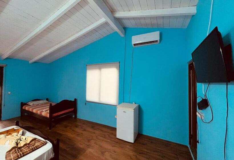 بنسيون Favela Chic Room