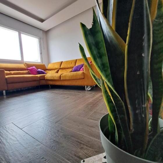 פנסיון Rosina Apartment Surfing Bed&vacation