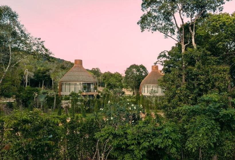 リゾートホテル Bird Nest Villas By Mafiya