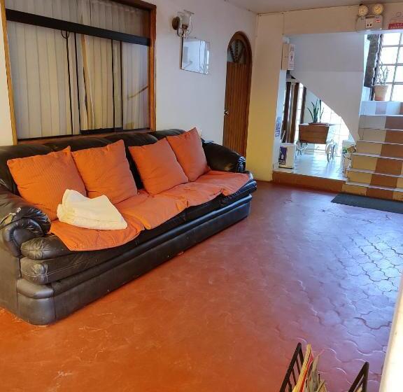 تختخواب و صبحانه Andean Hostel