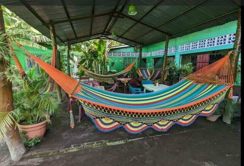 Cocos Hostel