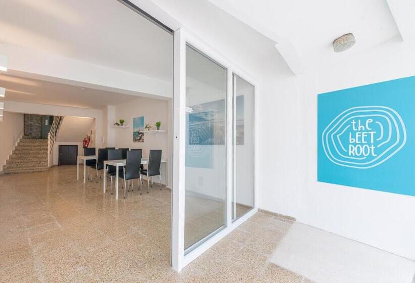 בית מלון כפרי Beetroot ,jedes Zimmer Verfügt über Smart Tv,regendusche Und Balkon 2025 Frisch Renoviert