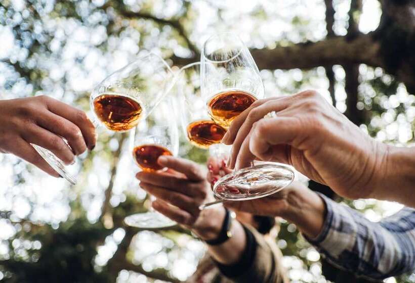 فندق Casa Do Santo   Wine & Tourism