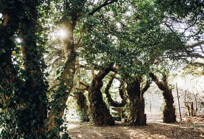 Отель Casa Do Santo Wine & Tourism