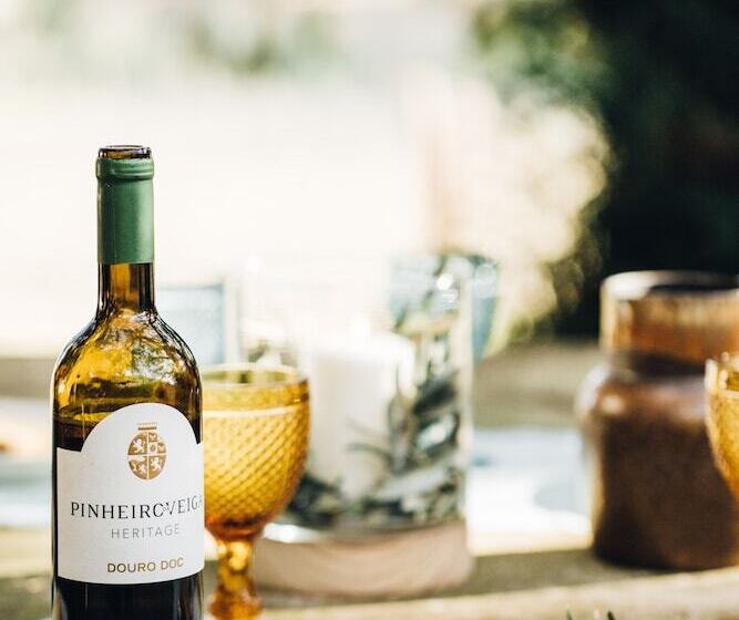 酒店 Casa Do Santo   Wine & Tourism