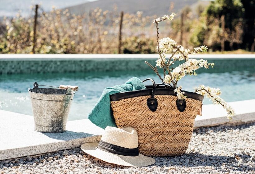 Отель Casa Do Santo   Wine & Tourism