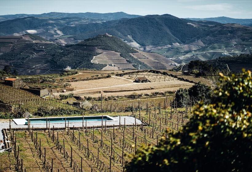 Отель Casa Do Santo   Wine & Tourism