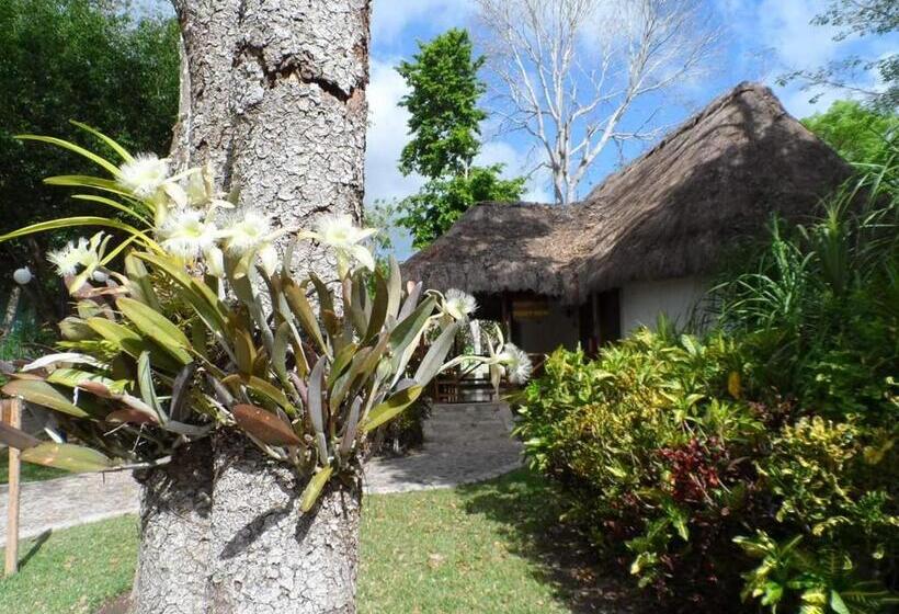 فندق Chicanna Ecovillage Resort