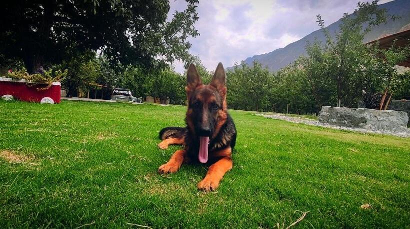 Отель Das E Basi