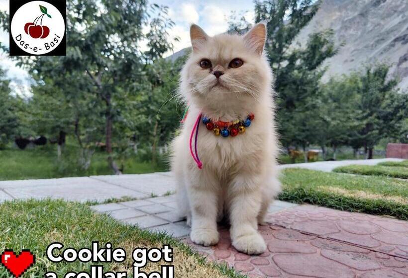 Отель Das E Basi