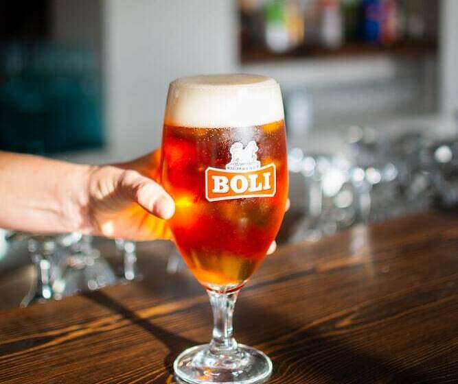 هتل Hótel Goðafoss Fosshóll