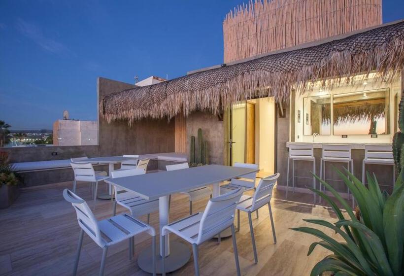 Отель Malecón 1680