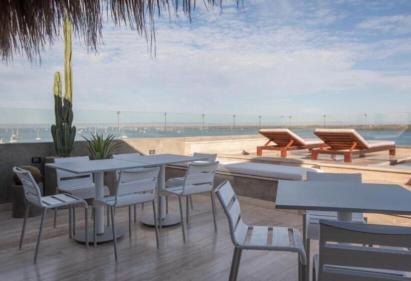 Отель Malecón 1680