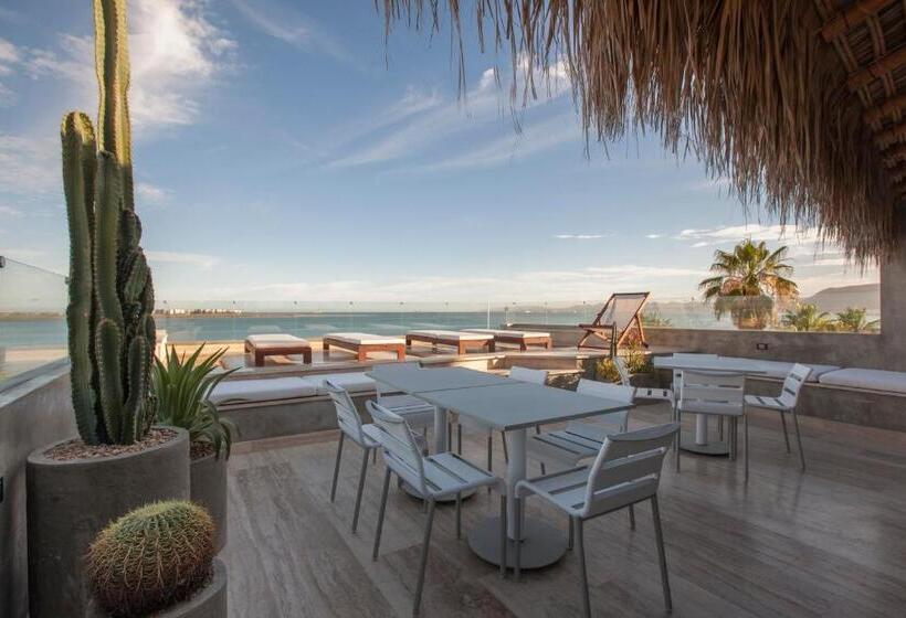 Отель Malecón 1680