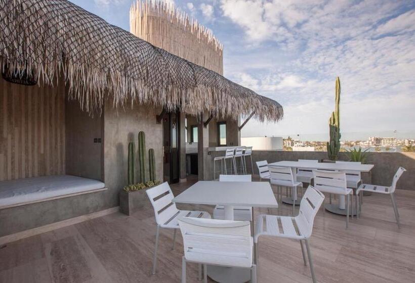 Отель Malecón 1680