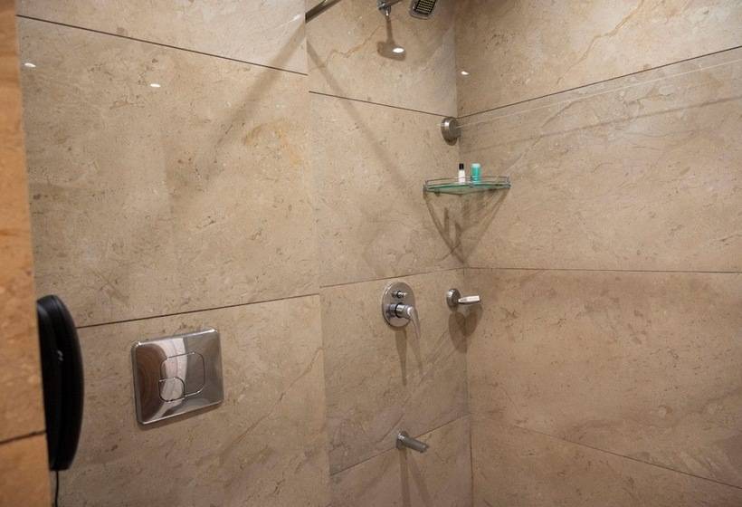 فندق Raaj Svastik Inn