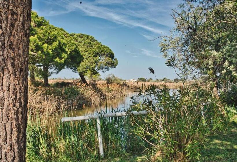 Lou Kif Hostel Votre Auberge En Camargue