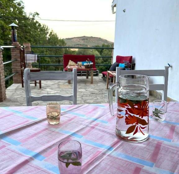 Open Mind Hostel