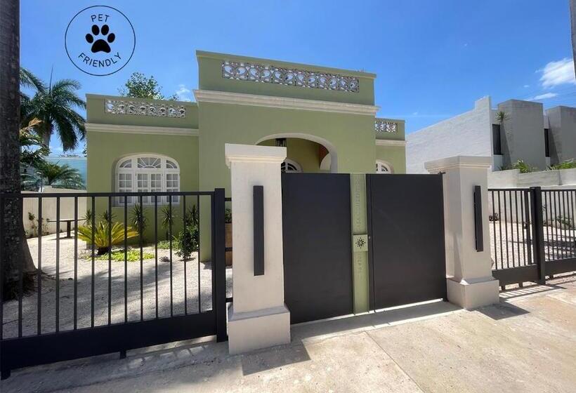 פנסיון Consentido Tamarindo