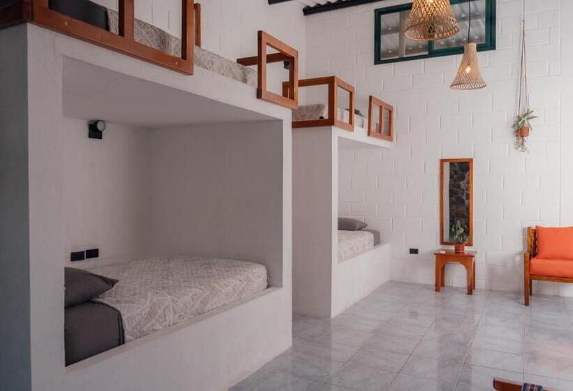 پانسیون Hostal Pimampiro