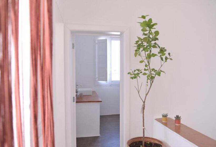 بنسيون Palazzo  800 : Pastine