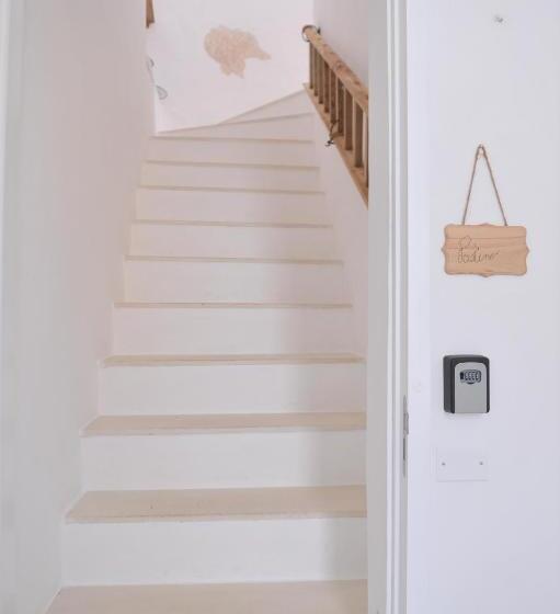 بنسيون Palazzo  800 : Pastine