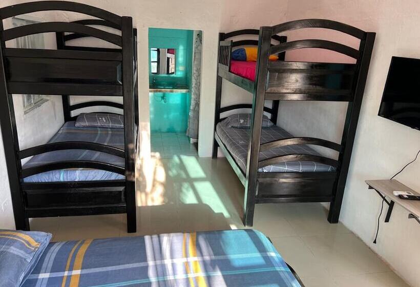 بنسيون Room In Lodge   Tr A3d Hostel Room Near Castillo San Felipe With Pool And Wifi