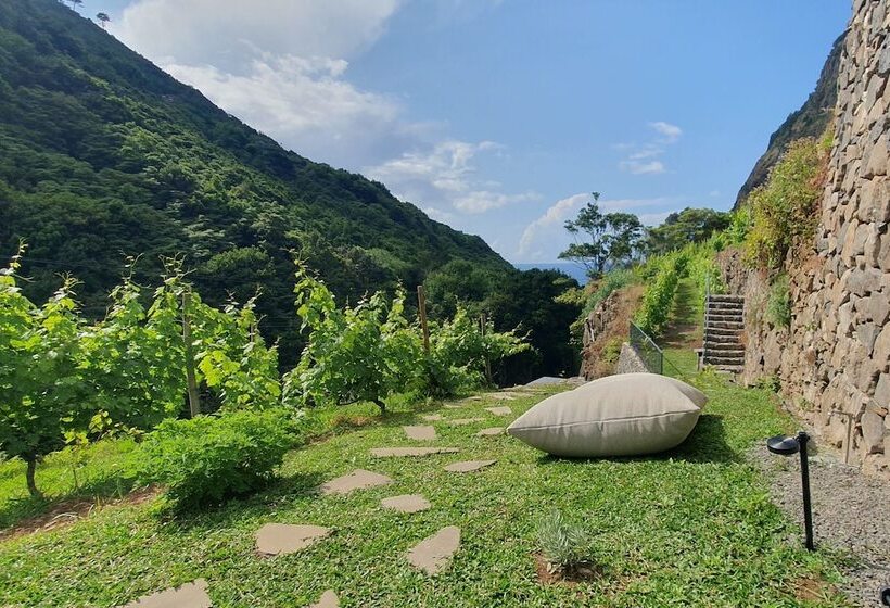 渡假胜地  Terrabona Nature & Vineyards