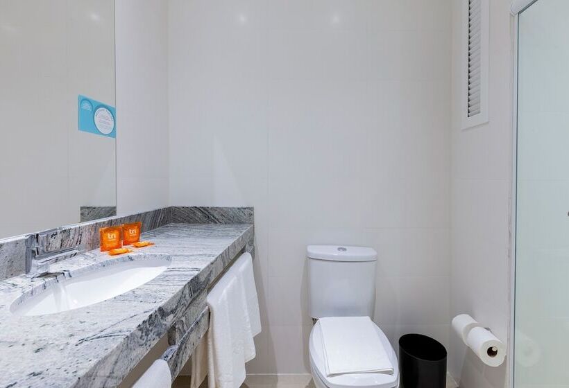 Tri Hotel Executive Osório