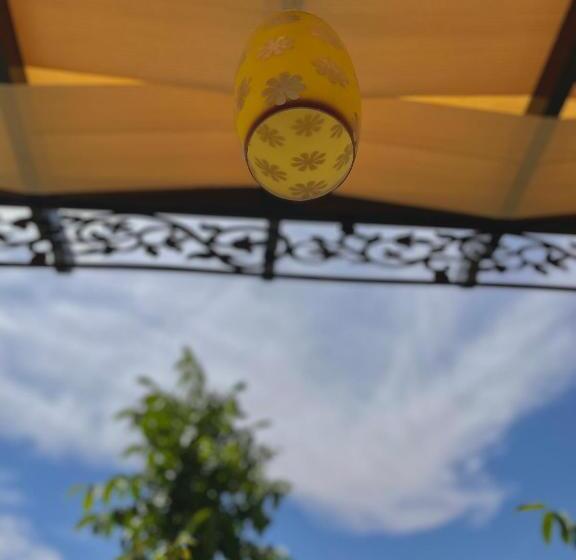 هاستل Fragrant Rose