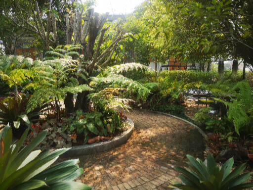 Bed and Breakfast ป้าเฒ่าเฝ้าสวน